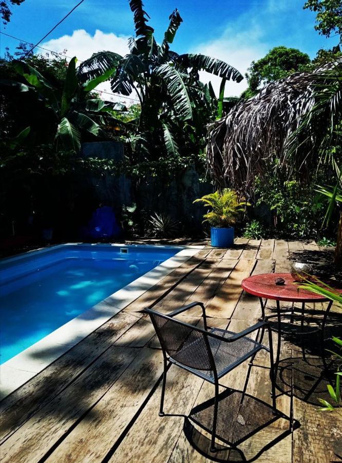 Meanwhile In Veracruz Exteriör bild