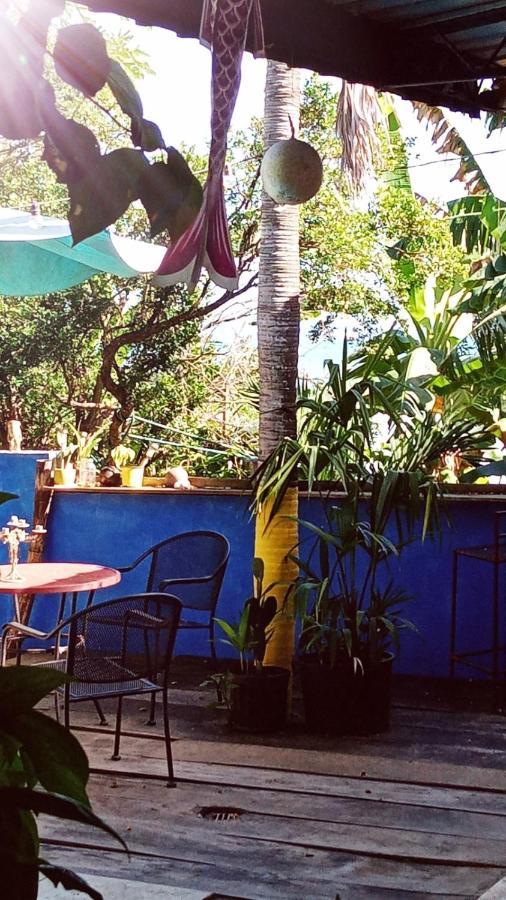Meanwhile In Veracruz Exteriör bild