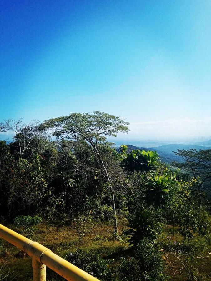 Meanwhile In Veracruz Exteriör bild