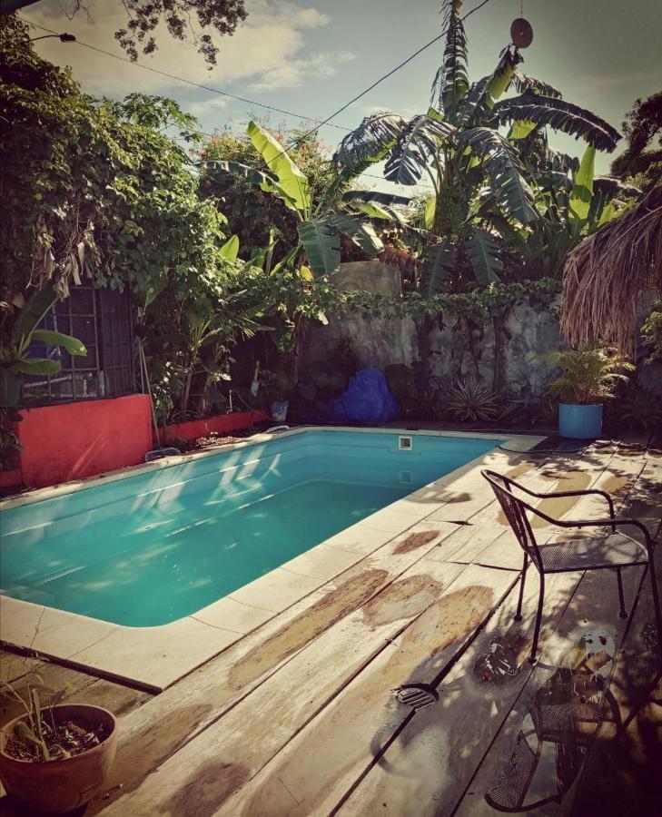 Meanwhile In Veracruz Exteriör bild