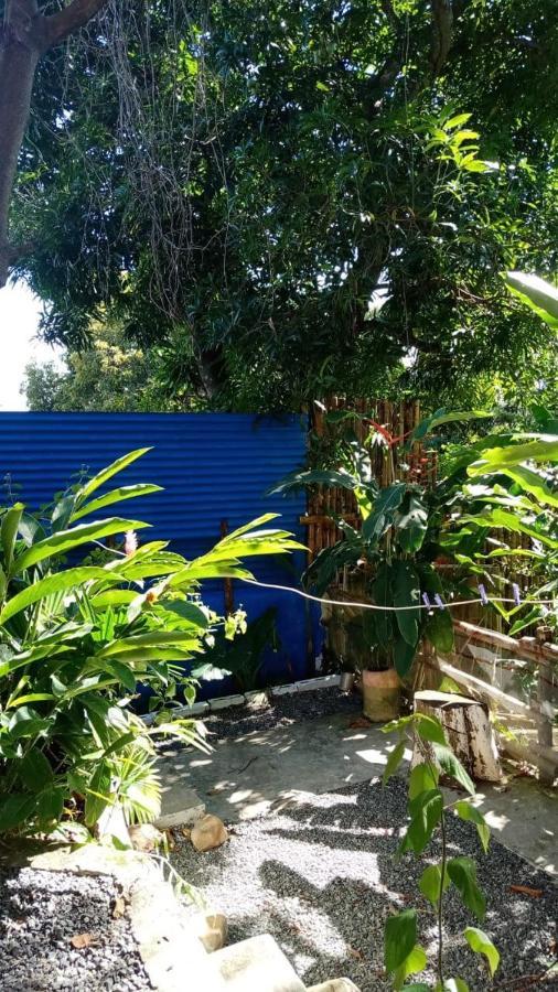 Meanwhile In Veracruz Exteriör bild