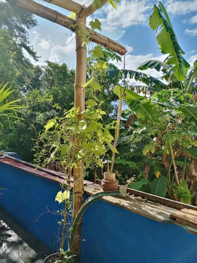 Meanwhile In Veracruz Exteriör bild