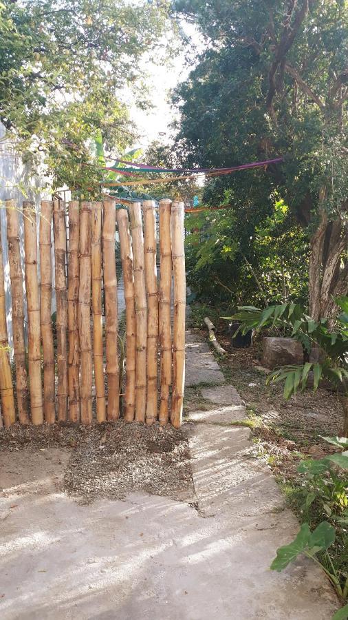 Meanwhile In Veracruz Exteriör bild