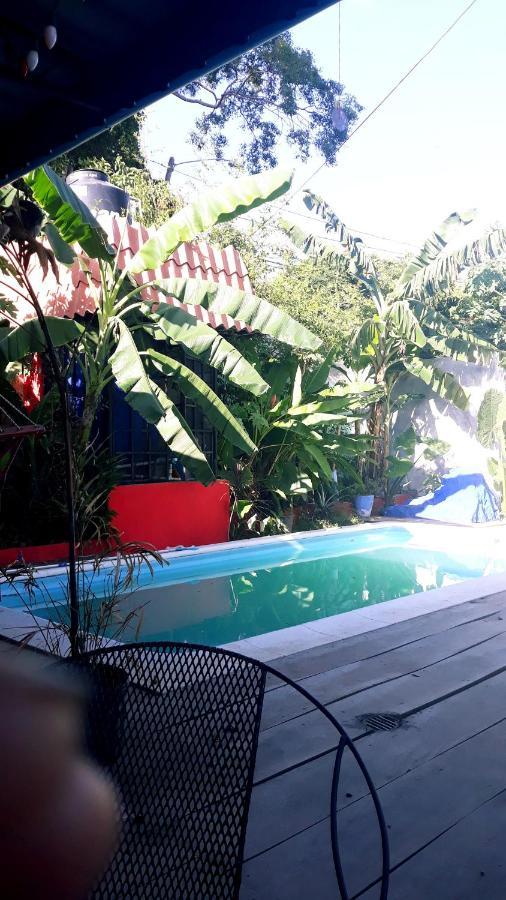 Meanwhile In Veracruz Exteriör bild
