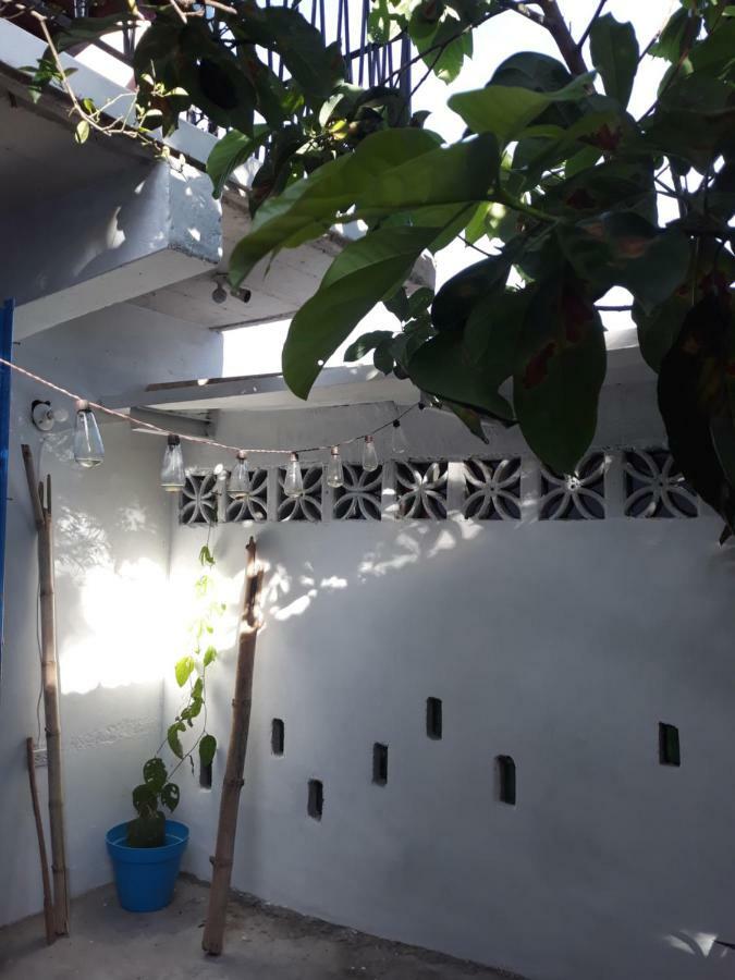 Meanwhile In Veracruz Exteriör bild