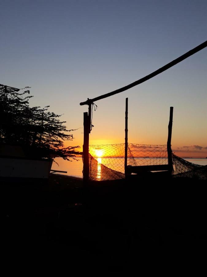 Meanwhile In Veracruz Exteriör bild