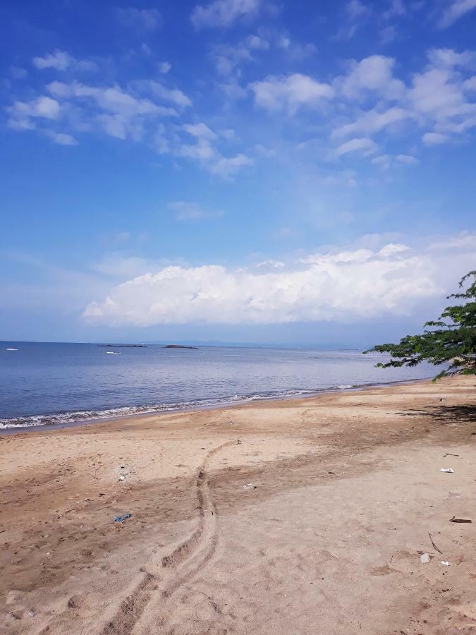 Meanwhile In Veracruz Exteriör bild